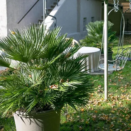 Family Wellhouse Garden Direct In Salzburg, Sunny Big Garden, Up To 16 Pax, Bikes For Free, Bbq, Sunbeds, Parking For Free, 15 Min Sound Of Music Villa