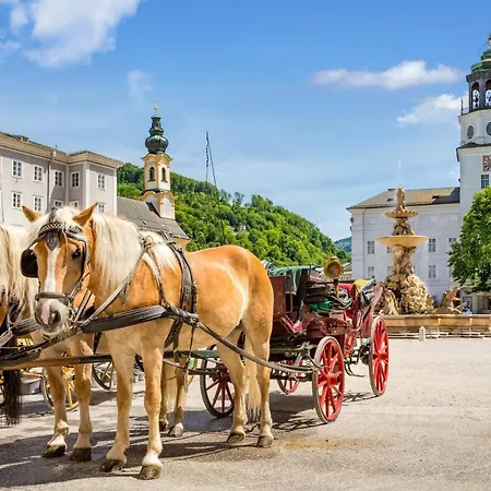 Family Wellhouse Garden Direct In Salzburg, Sunny Big Garden, Up To 16 Pax, Bikes For Free, Bbq, Sunbeds, Parking For Free, 15 Min Sound Of Music Salzburg