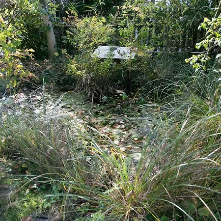 Villa Family Wellhouse Garden Direct In Salzburg, Sunny Big Garden, Up To 16 Pax, Bikes For Free, Bbq, Sunbeds, Parking For Free, 15 Min Sound Of Music